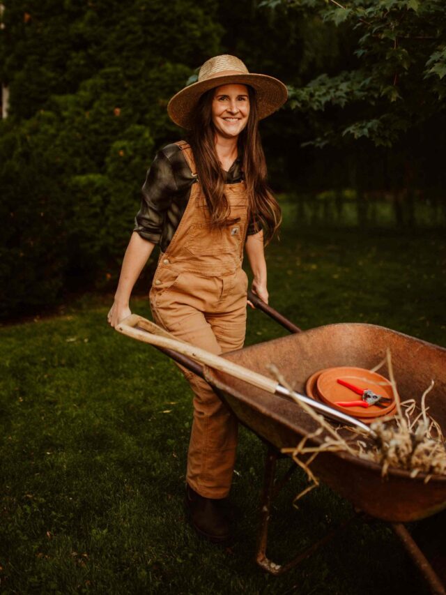 “कशमकश-ए-ज़िंदगी: दिल की उलझनों की दास्तान”