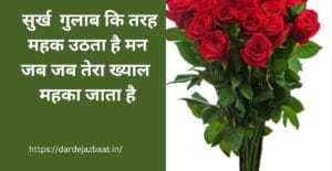 रोमांटिक हिंदी शायरीआन गुलाब