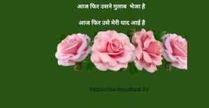 रोमांटिक हिंदी शायरीआन गुलाब
