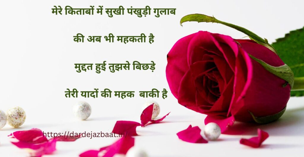 रोमांटिक हिंदी शायरीआन गुलाब|RomanticHindi shayari on Rose