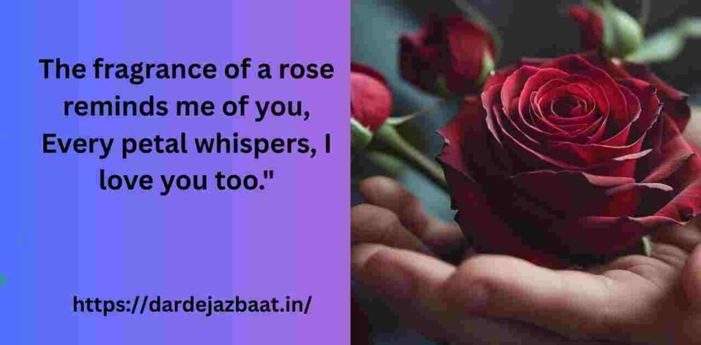 Rose shayari in english Rose shayari in english