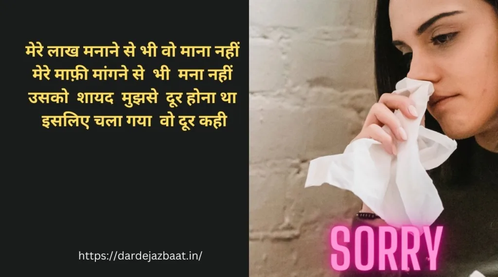 sorry shayari in hindi