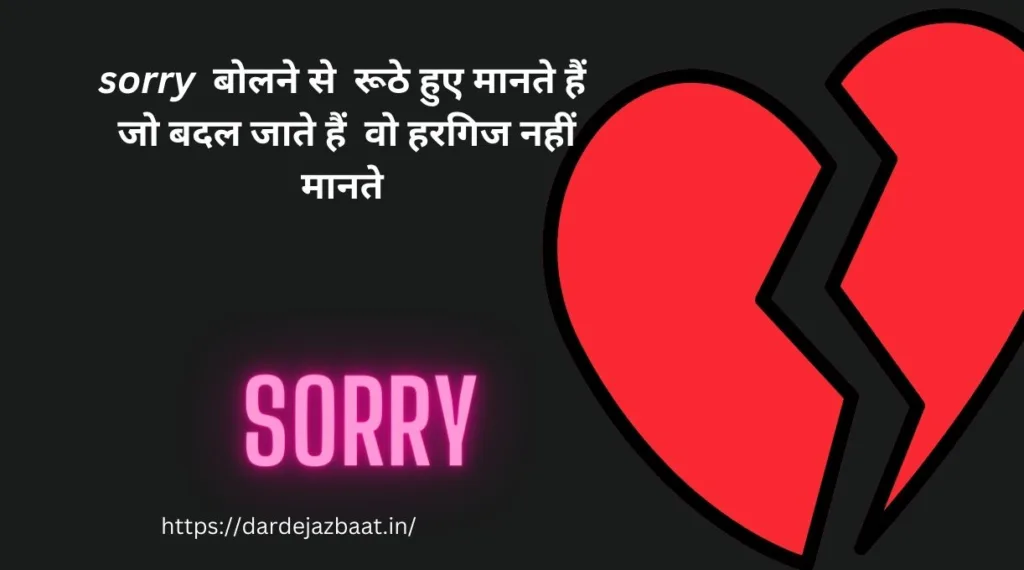 sorry shayari 2 lines