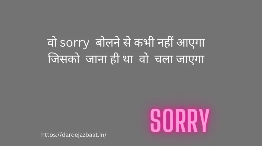 sorry shayari 2 lines
