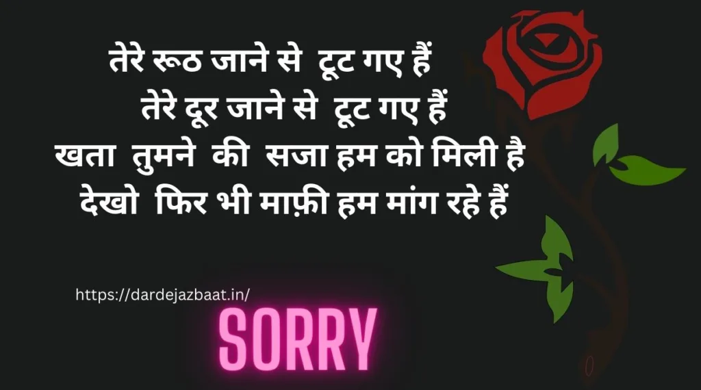 Sorry Shayari