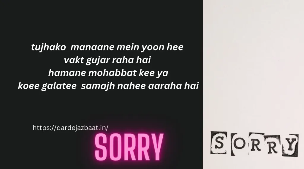 Sorry Shayari