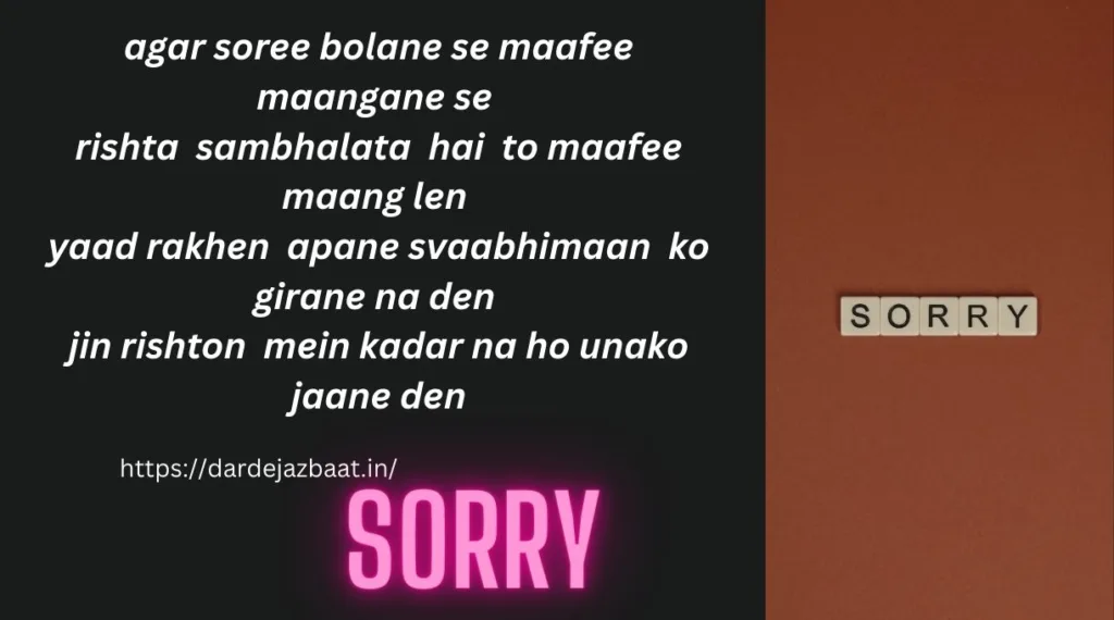 Sorry Shayari