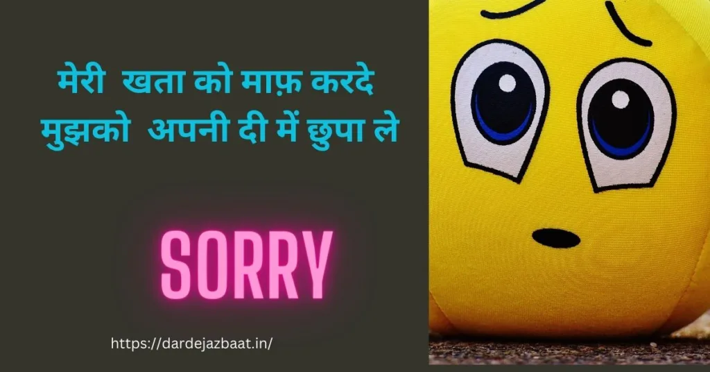 sorry shayari for love