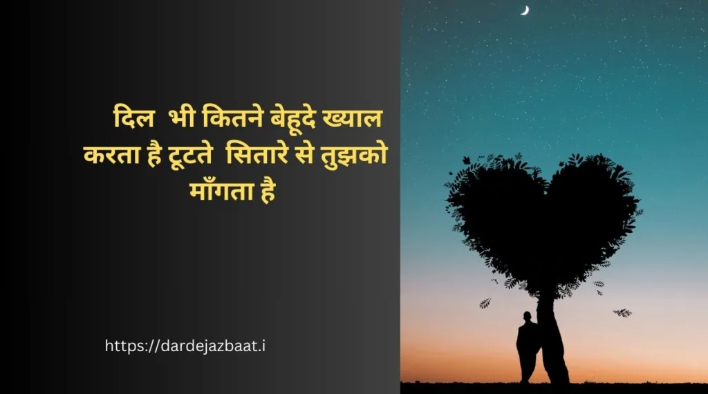     दिल  भी कितने बेहूदे ख्याल करता है टूटते  सितारे से तुझको माँगता है 