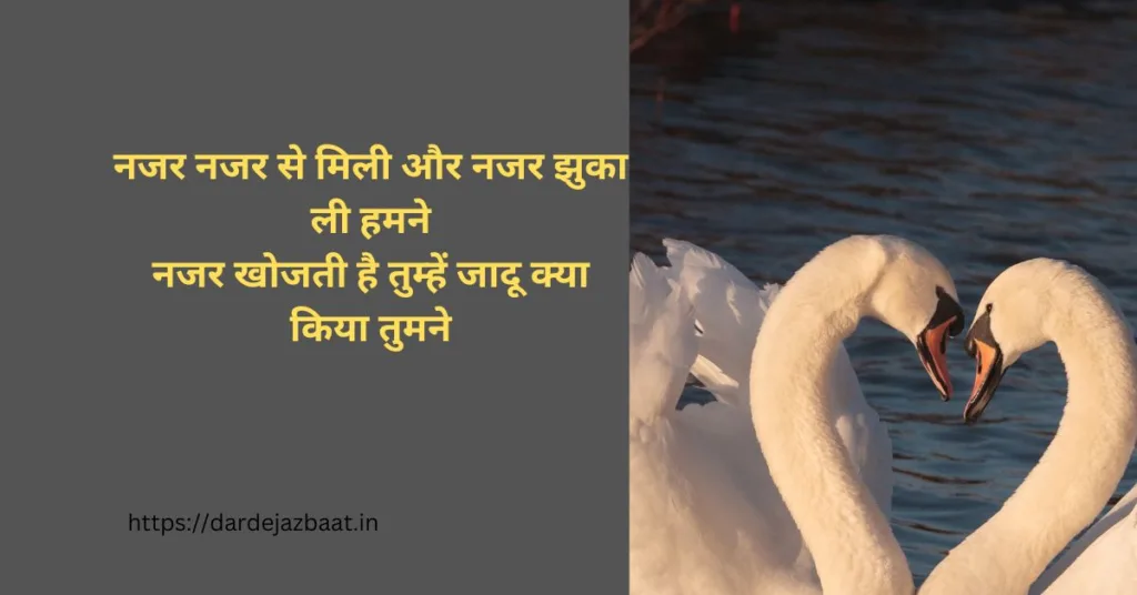 Najar Shayari In Hindi /नजर शायरी हिंदी में