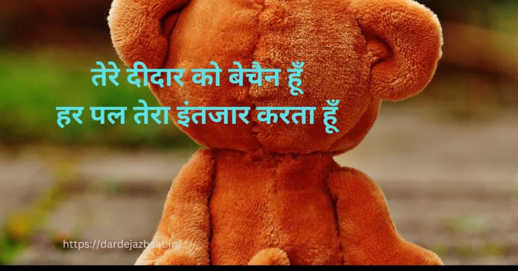 तेरे दीदार शायरी
