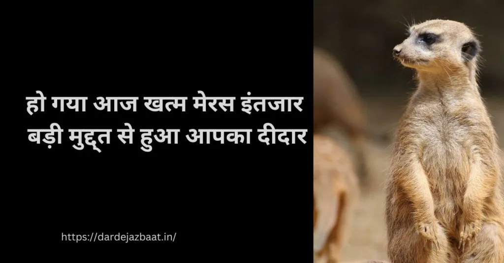 आपके दीदार शायरी