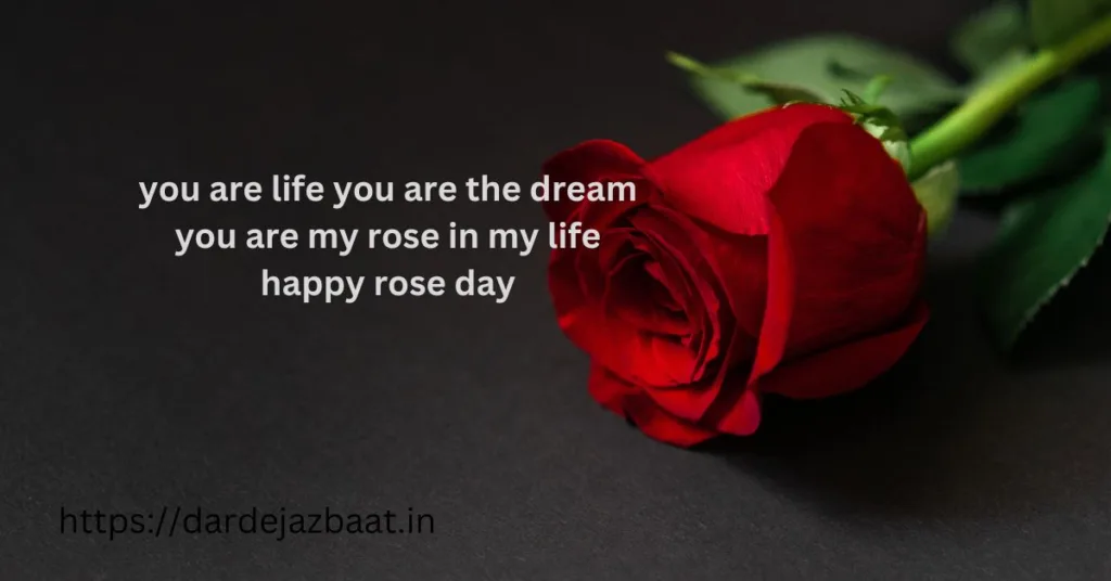 happy rose day wishes english