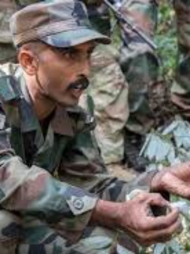 भारतीय सेना दिवस 15 जनवरी