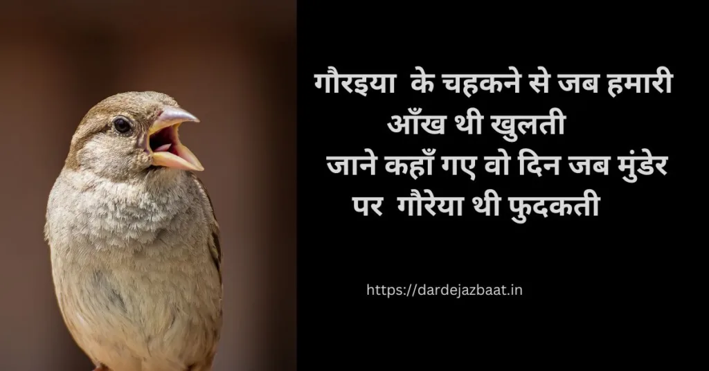 world sparrow day2024 images/world sparrow day 