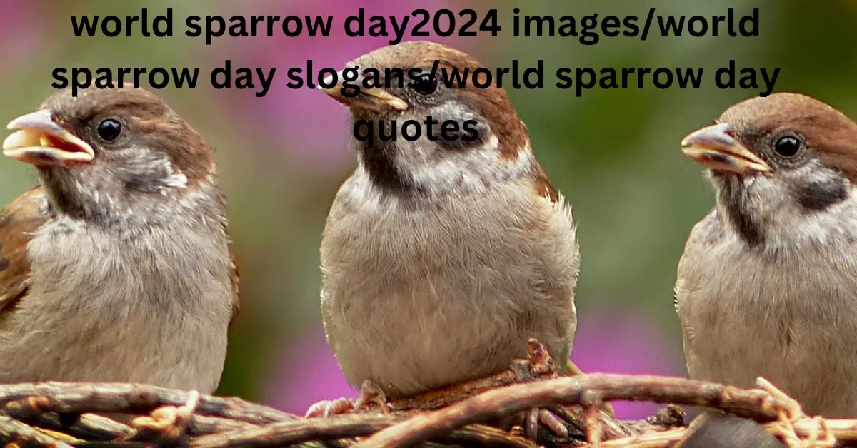world sparrow day2024 images/world sparrow day slogans/world sparrow day quotes