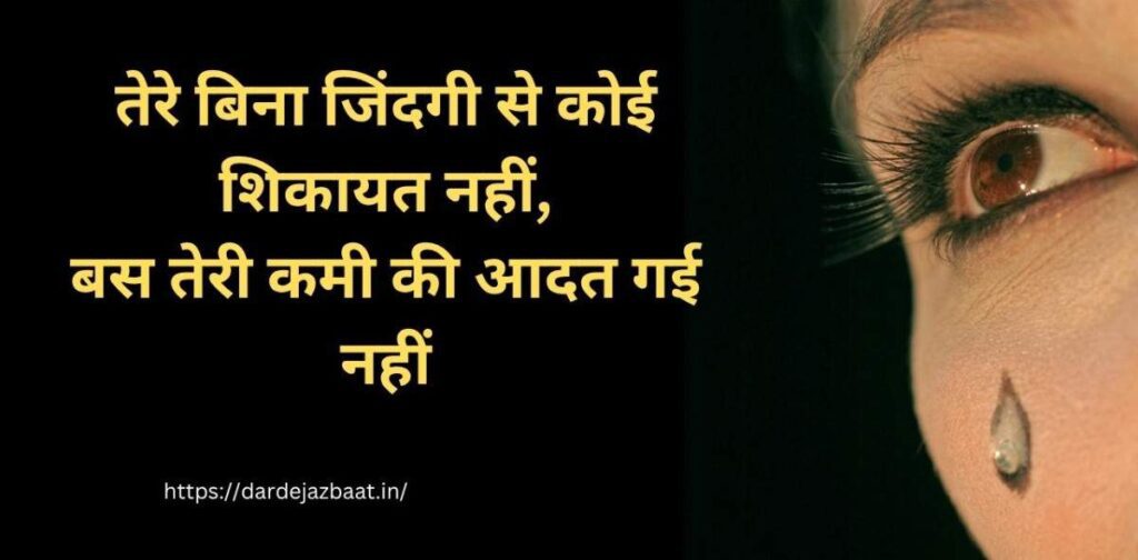 तेरे बिना जिंदगी से कोई शिकायत नहीं शायरी हिंदी