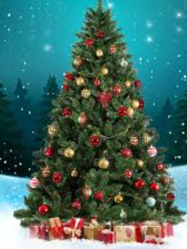 Merry Christmas 2024 – A Magical Journey