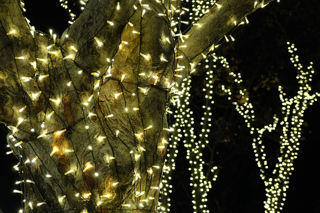 Beautiful Christmas pictures Beautiful Christmas pictures