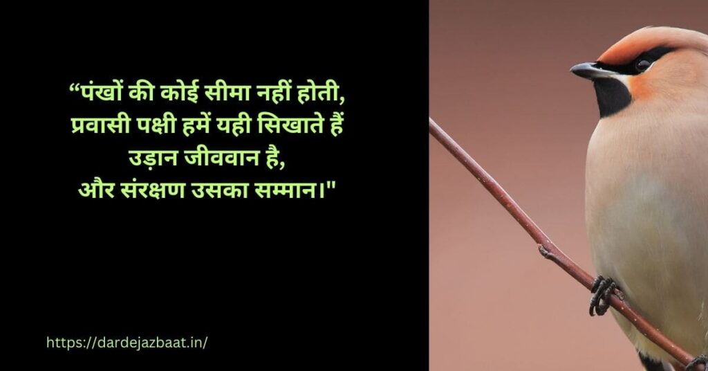 विश्व प्रवासी पक्षी दिवस कोट्स|World Migratory Bird Day Qouts विश्व प्रवासी पक्षी दिवस कोट्स|World Migratory Bird Day Qouts