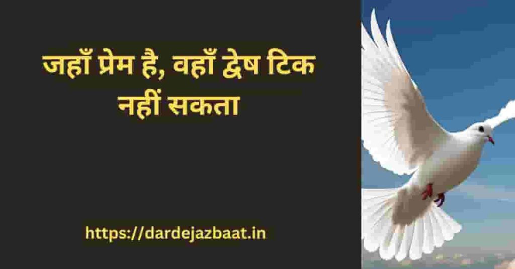 Antarrashtriya Shanti Diwasएकता और सह-अस्तित्व