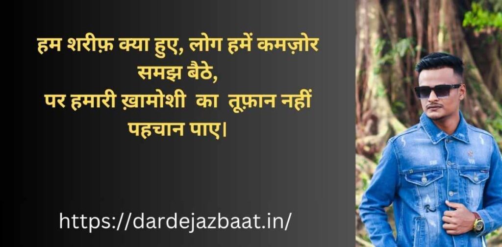 हम शरीफ़ क्या हुए शायरी हिंदी में दिल को छू लेने वाली लाइनें