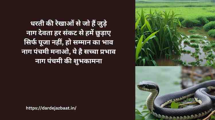 🐍 Nag Panchami Shayari 2025 | नाग पंचमी की दिल से शुभकामनाएं