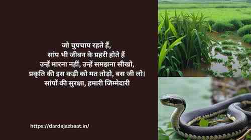  सांपों की सुरक्षा संदेश | जीवन का सम्मान – प्रकृति का सम्मान
