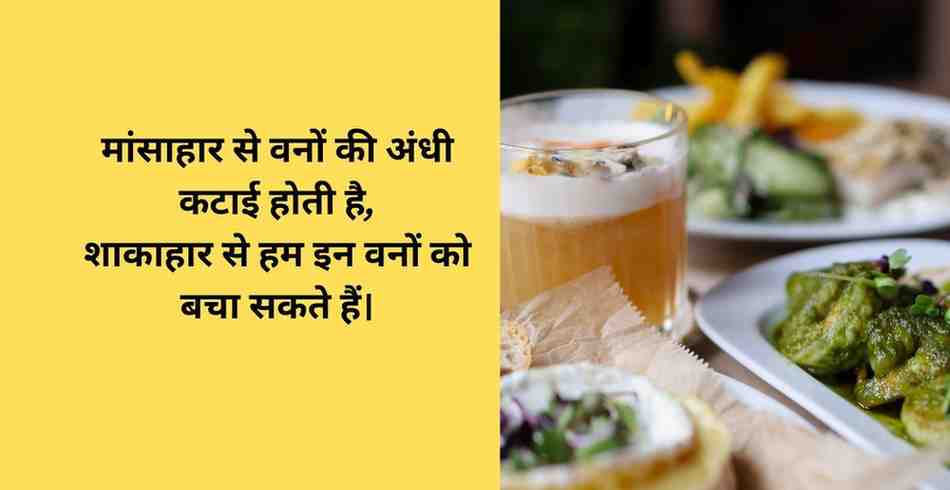 H2: शाकाहार का पर्यावरण पर प्रभाव
