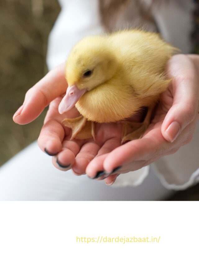 “दयालुता की शक्ति: संतों और जीवों से सीख”