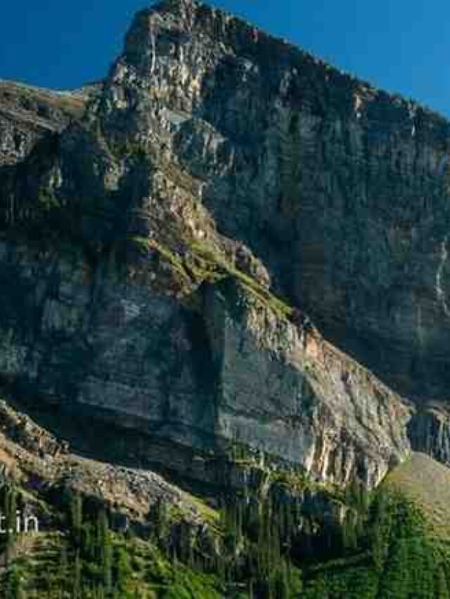 Antar-Rashtriya Parvat Divas