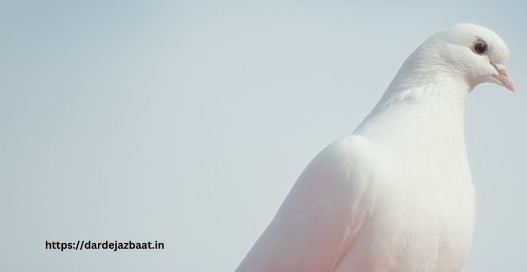 🌿 बिलुप्त होते पक्षियों की पुकार —