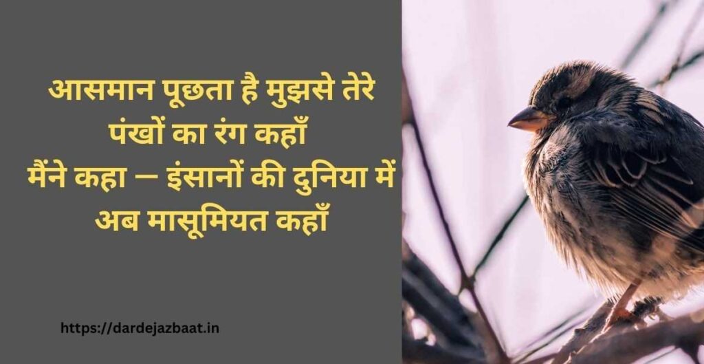 Bejubaan Pakshiyon Kee Shaayaree