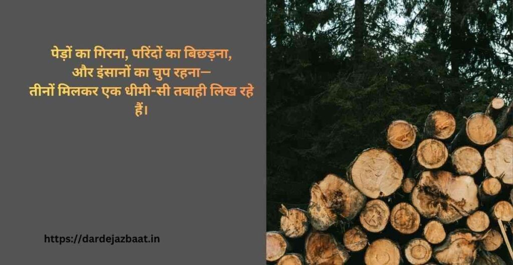 Bejubaan Pakshiyon Kee Shaayaree