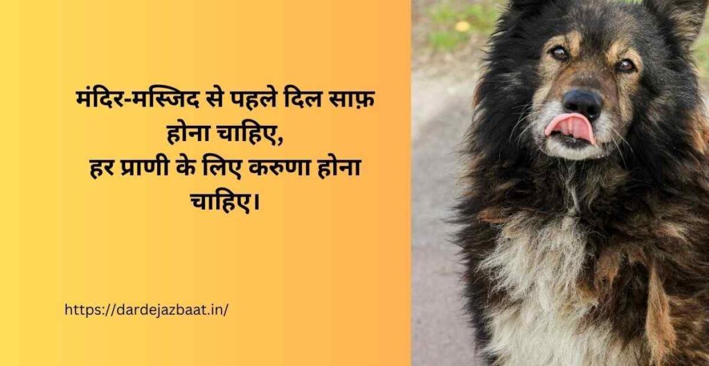 बेज़ुबान जानवरों के प्रति करुणा और दया दर्शाती भावनात्मक तस्वीर