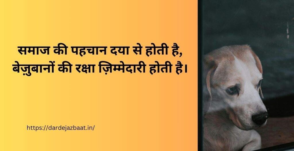 बेज़ुबान जानवरों के प्रति करुणा और दया दर्शाती भावनात्मक तस्वीर