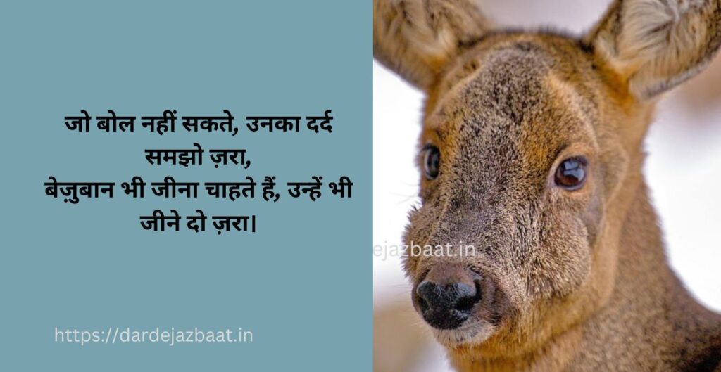 Bezubaan Shayari In Hindi|बेज़ुबान जानवरों पर दिल को छू लेने वाली शायरी Bezubaan Shayari In Hindi|बेज़ुबान जानवरों पर दिल को छू लेने वाली शायरी