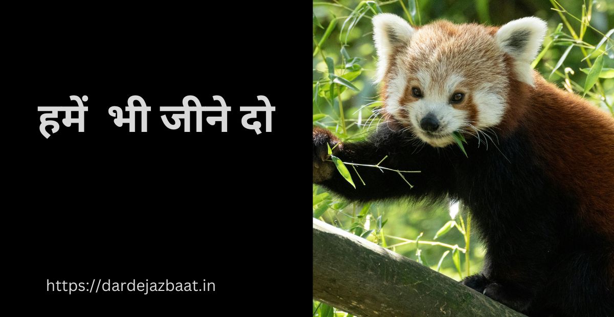 Bejubaan Jaanavaron Ke Dard Kee 2 Linai Shaayaree|जानवरों पर हो रहे ज़ुल्म  पर💔