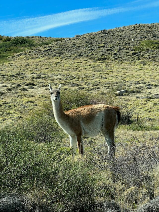 Bejubanon Ke Liye Karuna