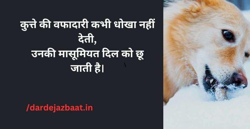 Janwar Se Pyar Shayari Hindi2026| पशु प्रेमियों के लिए दिल छूने वाली लाइन ❤️ 2 dog-shayari-animal-shayari-hindi.jpg