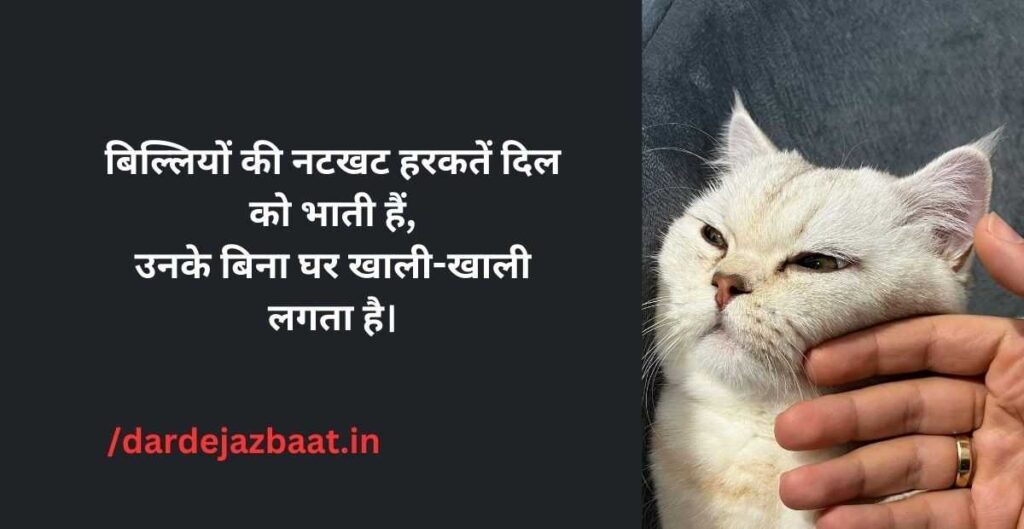 cat-love-shayari-hindi-english.jpg cat-love-shayari-hindi-english.jpg