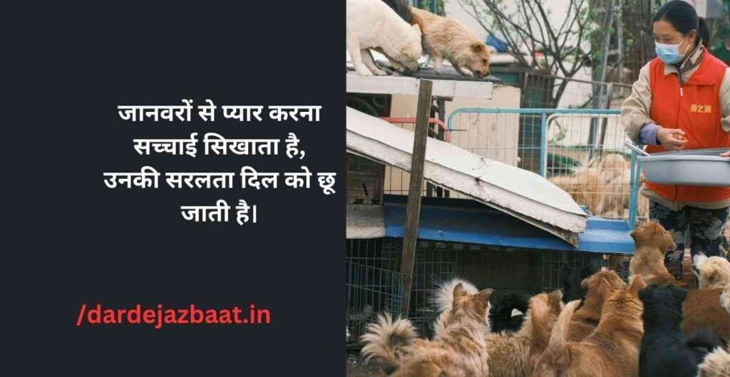 cute-animal-shayari-instagram.jpg cute-animal-shayari-instagram.jpg