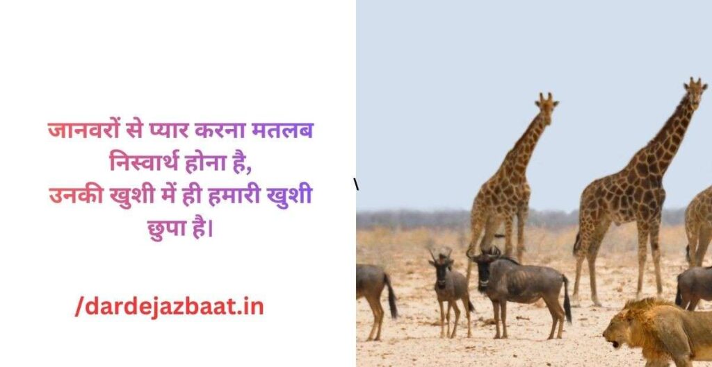 animal-shayari-horse-hindi.jpg animal-shayari-horse-hindi.jpg