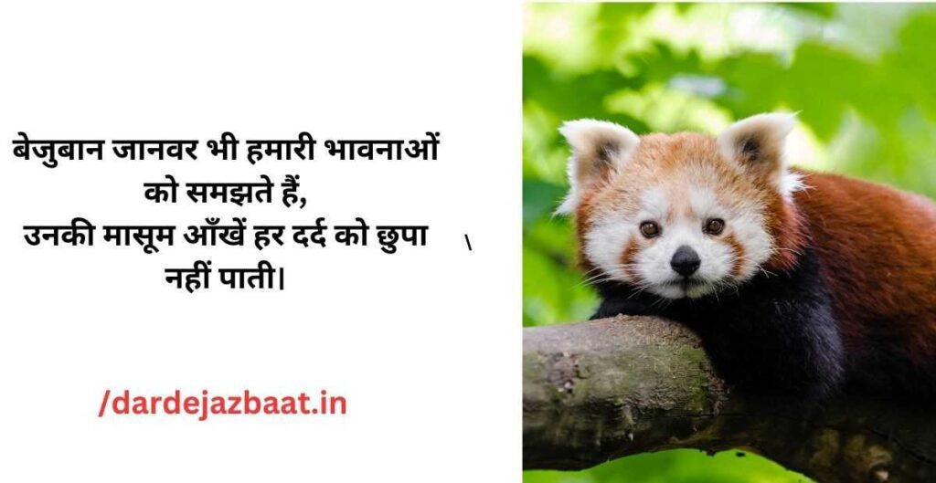 small-pet-shayari.jpg small-pet-shayari.jpg