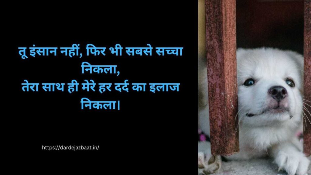 Dog love shayari in hindi emotional image