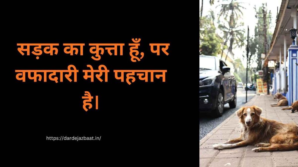 Street Dog Loyalty Shayari Wafadari Emotional Dog Sad Life