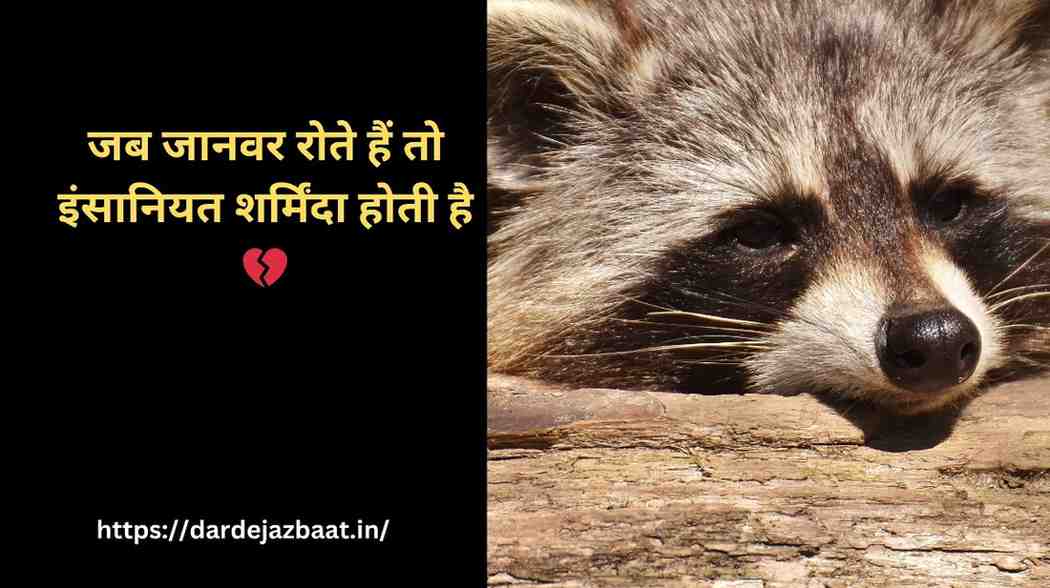 Janwar Se Pyar Shayari|“जब जानवर रोते हैं, इंसान सोता है💔सच्चाई बयान करती शायरी” 1 Janwar Se Pyar Shayari|जब जानवर रोते हैं तो इंसानियत शर्मिंदा होती है 💔