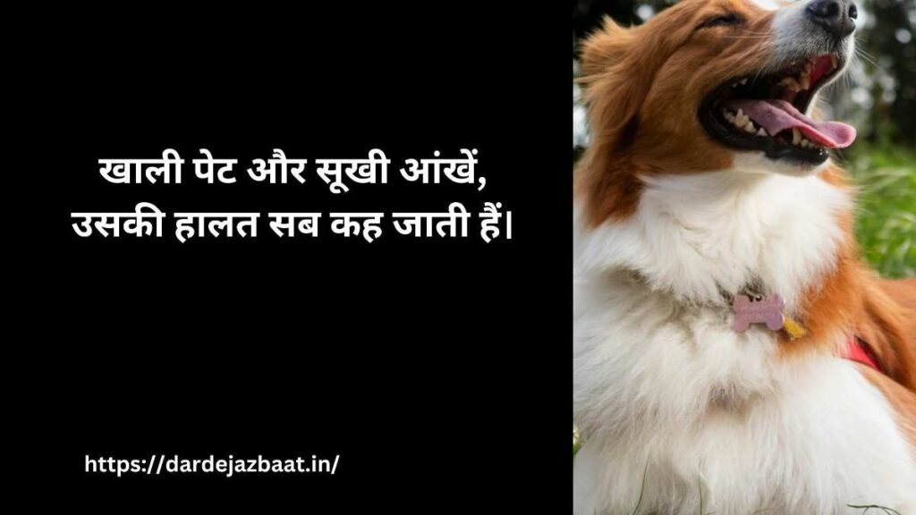 🐾 2. भूख से तड़पते जानवरों का दर्द 🐾 2. भूख से तड़पते जानवरों का दर्द
