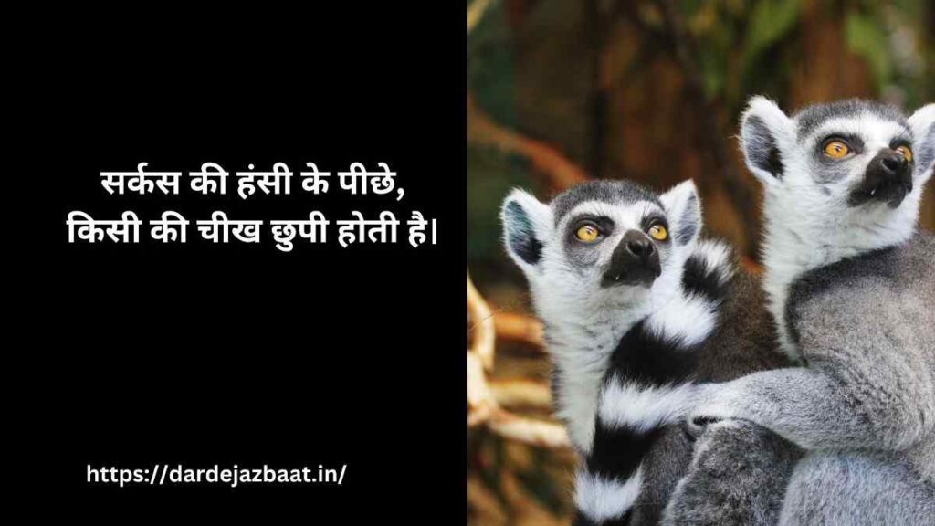 🐾 4. सर्कस और चिड़ियाघर में कैद जानवरों की कहानी 🐾 4. सर्कस और चिड़ियाघर में कैद जानवरों की कहानी