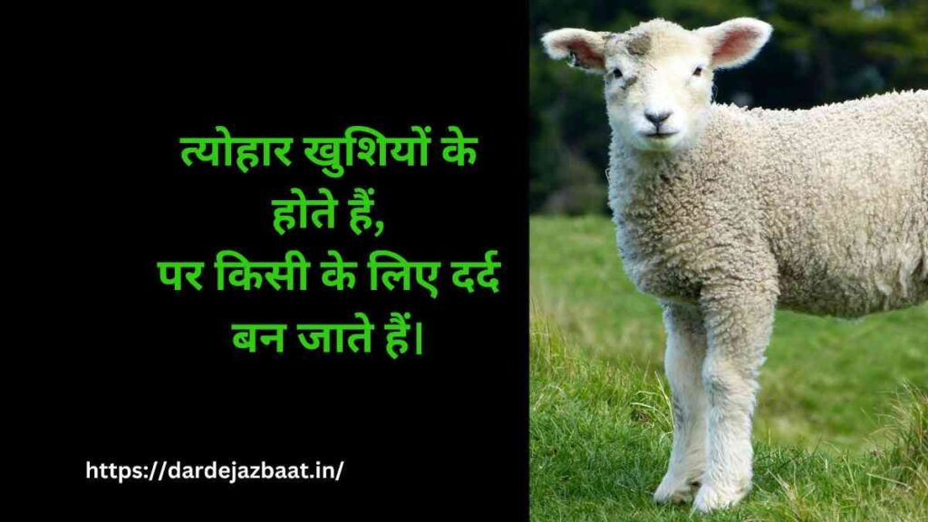 🐾 7. त्योहारों में जानवरों पर होने वाला जुल्म 🐾 7. त्योहारों में जानवरों पर होने वाला जुल्म